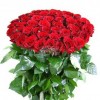 Bunch of 50 Red Roses